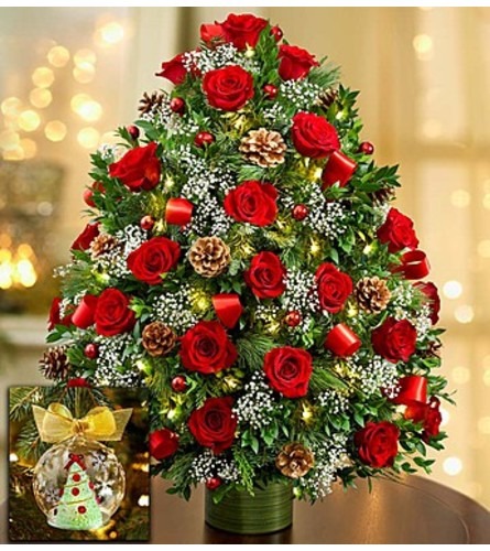 https://res.cloudinary.com/ufn/image/upload/c_pad%2Cf_auto%2Cfl_progressive%2Ch_500%2Cw_445/wjkjlnox5kp042p2w1pl.jpg?utm_source=chatgpt.com