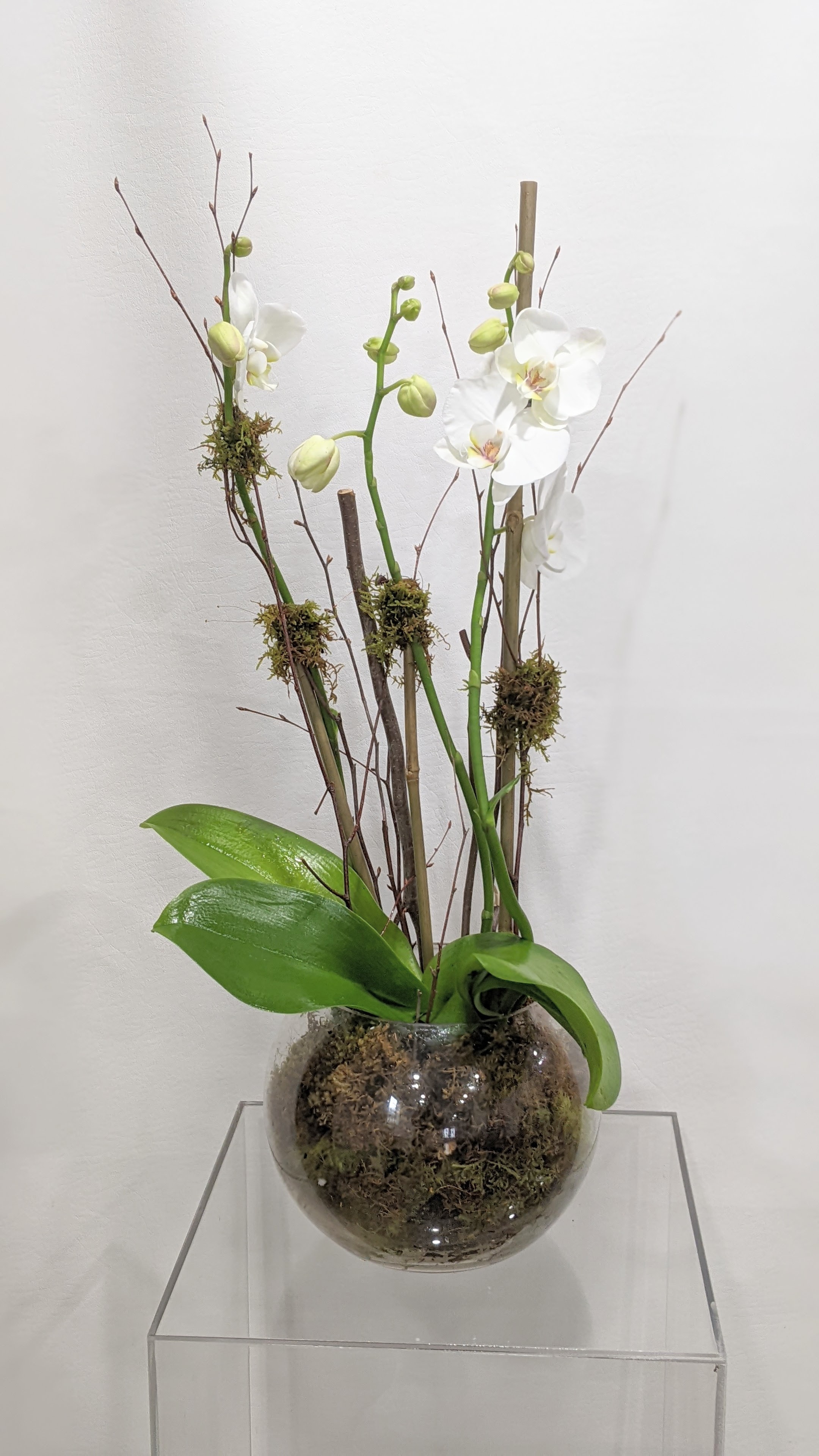 Orchid Bowl