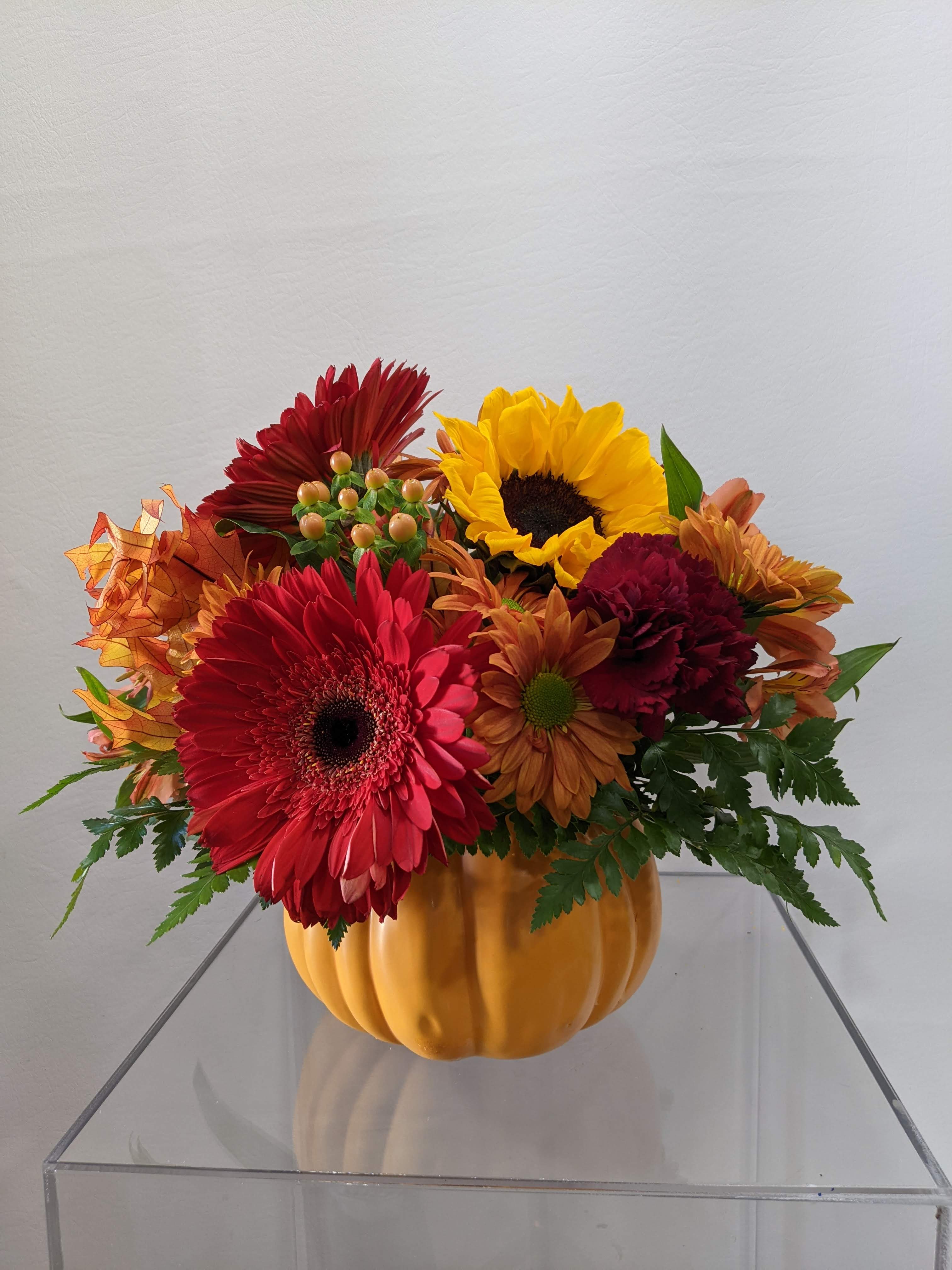 Autumn Harvest Pumpkin