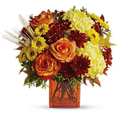 Bring a bright contemporary touch to this glorious season with a chic fall bouquet in a stylish orange cube vase. Subtly sensational, it's a great gift for faraway friends.
The stylish contemporary arrangement includes yellow cushion spray chrysanthemums, bi-color orange roses, rust cushion spray chrysanthemums, yellow disbud chrysanthemum and yellow Viking spray chrysanthemums accented with assorted greenery.