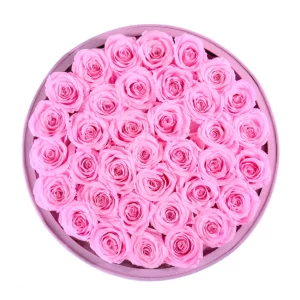 Large Square Eternity Roses Intense Velvet Box