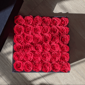 Large Square Eternity Roses Intense Velvet Box
